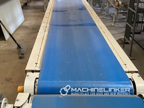 Premier Tech 29′ Conveyor