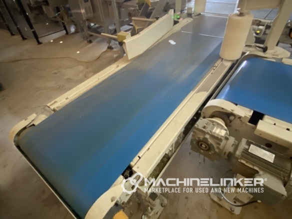 Premier Tech 8′ Conveyor